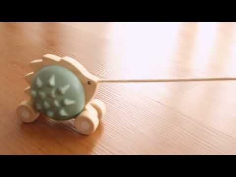 Slide 8 - Pull-Along Hedgehog (video)