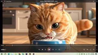 TẠO VIDEO HÀNG LOẠT CHỈ BẰNG 1 CLICK