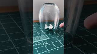 Telekinesis Inverted PSI Wheel Under Glass  #telekinesis