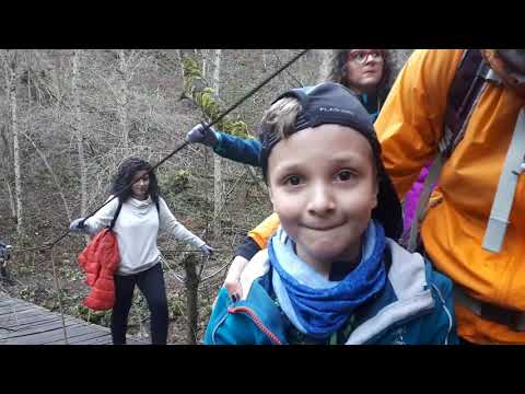 PUNTE peste raul VARGHIS