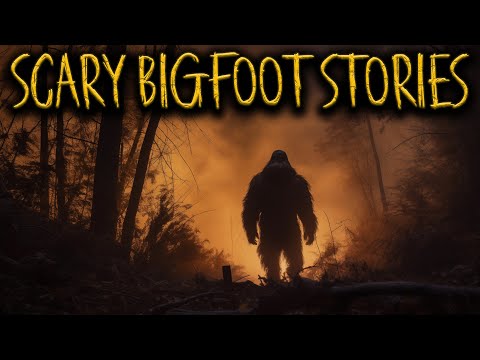 6 Terrifying BIGFOOT Stories That Will Give You Chills | Sasquatch Encounters, Deep Woods, Forest