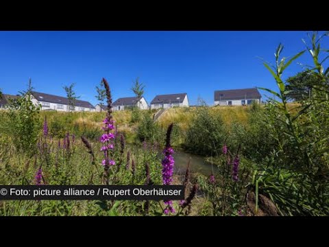 Video Thumbnail: Stärkere Nutzung des vorhandenen Gebäudebestandes gefordert