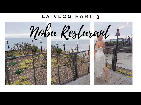 Los Angeles Travel Vlog Part  (3) Nobu Resturant, Malibu