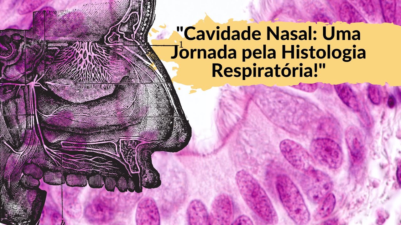 Guia Detalhado: Histologia da Cavidade Nasal