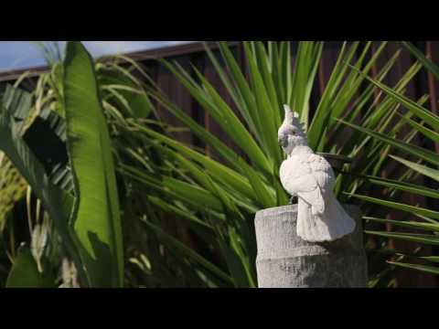 12 Northrop St - Prudential Real Estate - Campbelltown