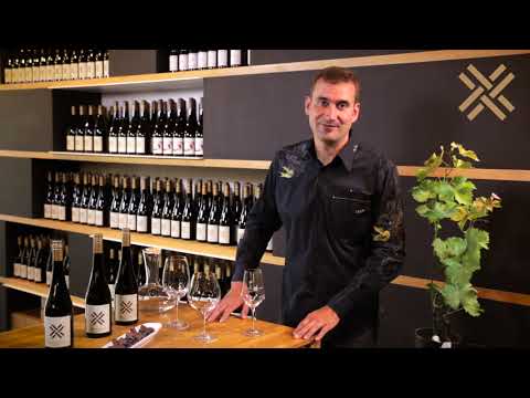 Welche Weine muss man dekantieren und welches Glas passt zu Rotwein? Das richtige Weinglas zum Syrah