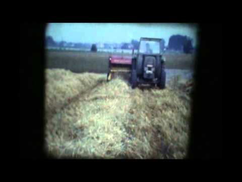 Loonw. Vansteelant - Torhout