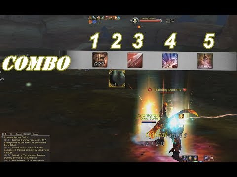 Aion 5.4 Best PvP Assassin Customised Skill Use Ever