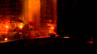 Larry Moon and The Moonlighters- Moon Safari