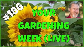 When to Start Seeds (Q&A)