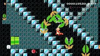 Super Warp World 4-3 Underground Overgrowth any% RTA speedrun route