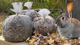 How to Make Rabbit Feed (Relaxing ASMR Version)