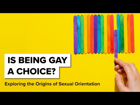 Is being gay a CHOICE? Exploring the Origins of Sexual Orientation