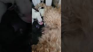 Day 1