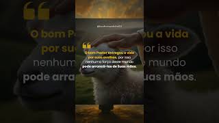 Ele não irá perder nenhuma das suas ovelhas! #vidacristã #fé