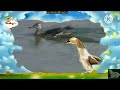 The Amazing World 2006 Duck