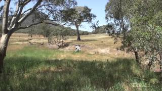 preview picture of video 'My Farm300 journey: Victorian cattle and sheep producer Glen White (part 1 of 2)'