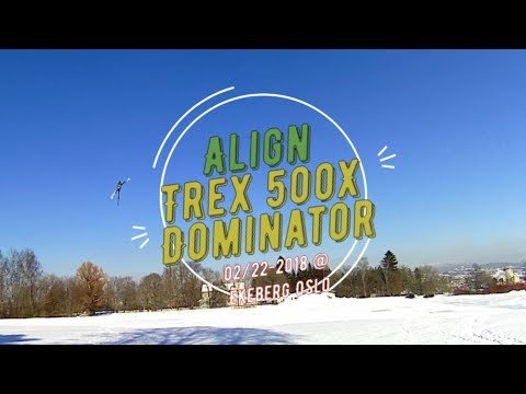Trex 500x Dominator back to back Filght @ Ekeberg 02.23.2018