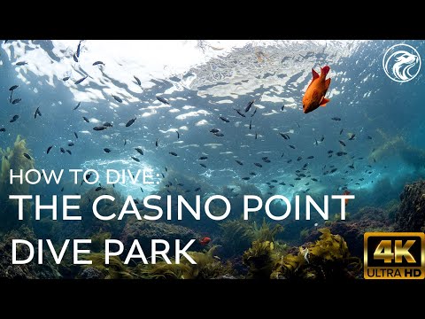 SCUBA How To Dive Casino Point, The Definitive Guide - Catalina Island, CA, 2025 - 4k