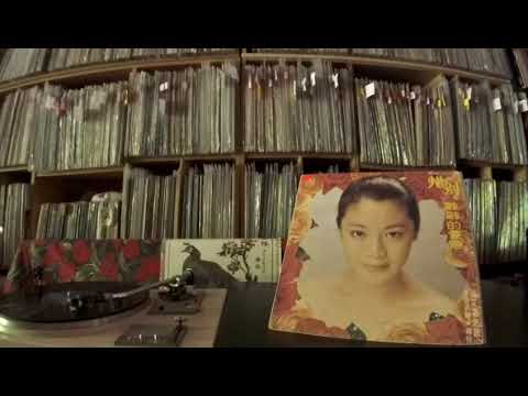 張艾嘉 Sylvia Zhang -- b3 Diamonds & Rust