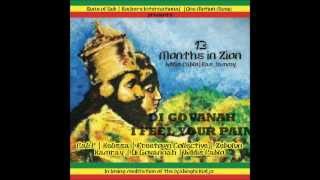13 Months in Zion Riddim Mix by Jah Muzik Sound (South Africa) {April 2012}