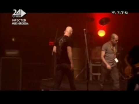 Erez Netz Solo - Infected Mushroom Show