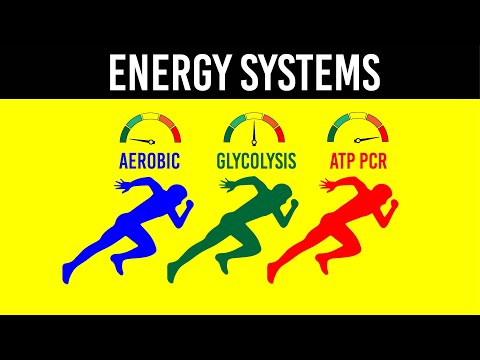 ENERGY SYSTEMS - Strength & Conditioning Essentials