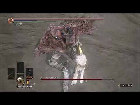 [111 Builds] Mad Marauder vs Gael (Dark Souls III: Cinders Mod)