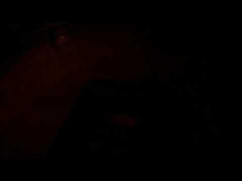 Mimon Baraka - Filmvorstellung "Halloween 2"