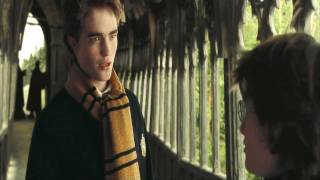 [Harry Potter] Cedric Diggory || Hot Mess (Preview/Test)