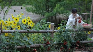 Video : China : A summer vegies masterclass with LiZiQi