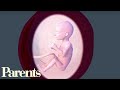 Feeling Baby Move Weeks 18 21 Of Pregnancy Parents