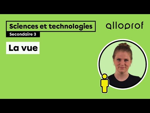 La vue | Sciences et technologies | Alloprof