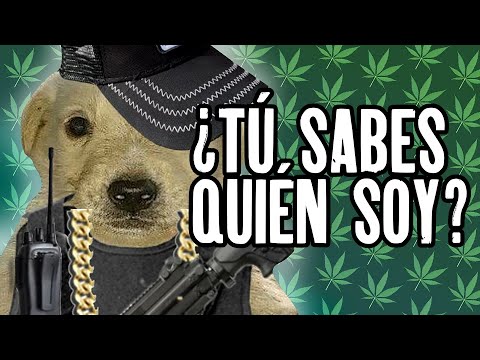 ERES ALUCÍN Y PENDEJO