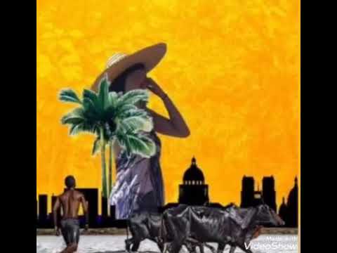 Nytt X Martiora Freedom- Mashup Flex Niata