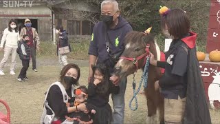 のじまスコーラ