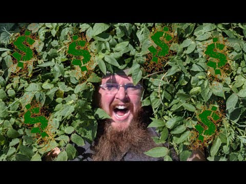 download lagu mp3 mp4 How To Sell A Black Walnut Tree, download lagu How To Sell A Black Walnut Tree gratis, unduh video klip How To Sell A Black Walnut Tree