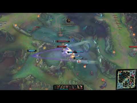 서폿리신 탓하는 진의 포지션