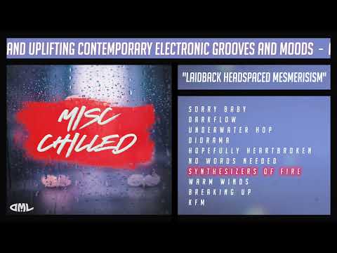 Synthesizers Of Fire - Misc Chilled - The Dance Music Library