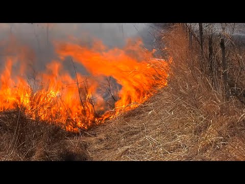 Выжигание сухой травы приводит к гибели людей и повреждению имущества видео