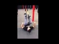 UFC Gym Cherry Hill "How To" series: TRX Atomic ...