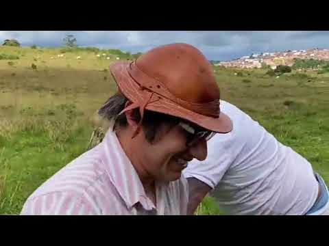 Mução trolagem com Biro