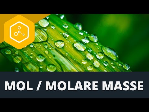 Mol / Molare Masse