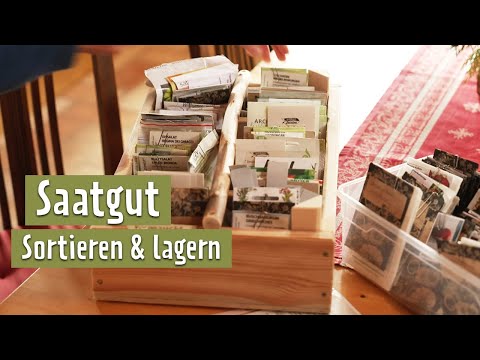 Gut sortiert: Eine Sammelkiste fürs Saatgut | MDR Garten