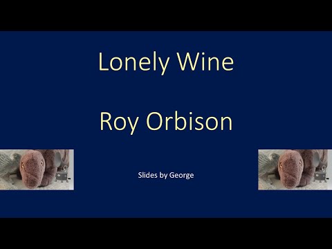 Roy Orbison   Lonely Wine  karaoke