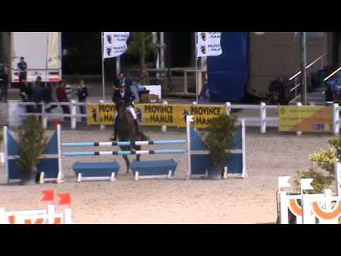 Belgian Championship 4Y old_2013