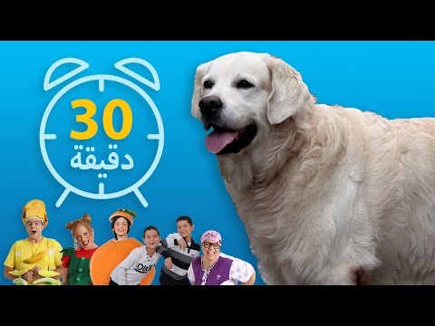 فوزي موزي وتوتي – مشاهد مضحكة في فيديو متواصل 4