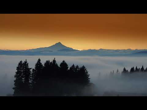 Charlotte De Witte, Amelie Lens, Umek Techno Mix 2021 #14