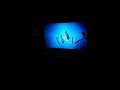 Opening Of A Turtle S Tale 2 Sammy S Escape From Paradise DVD From 2012