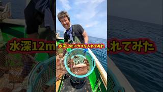 水深12mにカゴを入れてみたらコウイカ爆入り🦑#かご漁 #漁師 #コウイカ